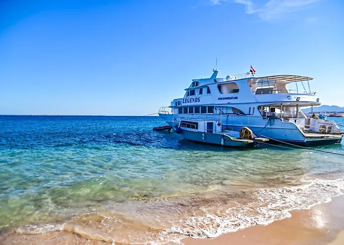 Eagles Paradise Abu Soma 4*